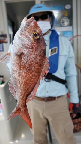 遊漁船 ニライカナイ 釣果