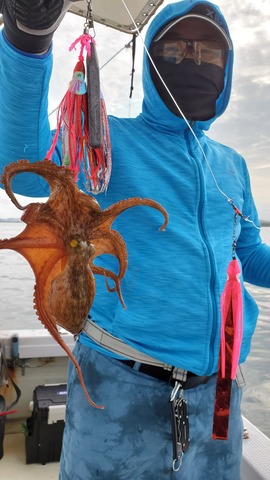 遊漁船 ニライカナイ 釣果