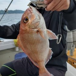 遊漁船 ニライカナイ 釣果