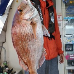 遊漁船 ニライカナイ 釣果