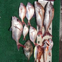 正幸丸 釣果