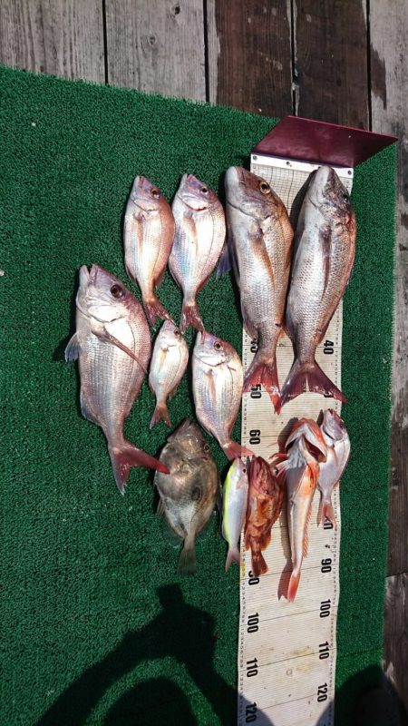 正幸丸 釣果