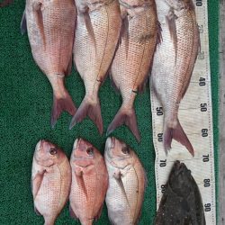 正幸丸 釣果