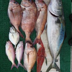 正幸丸 釣果