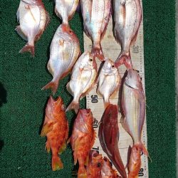正幸丸 釣果