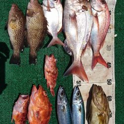 正幸丸 釣果