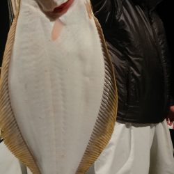 魁皇 釣果