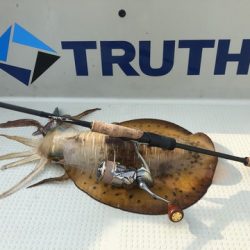 Rush(ラッシュ) 釣果