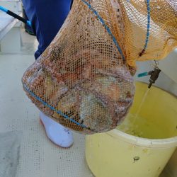 たかみ丸 釣果