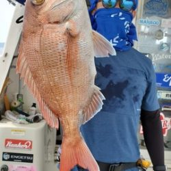 遊漁船 ニライカナイ 釣果