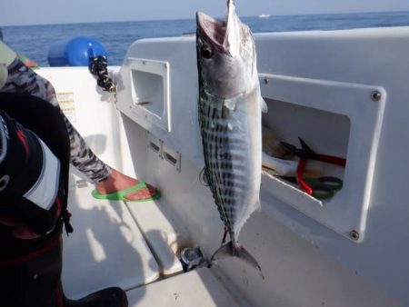開進丸 釣果