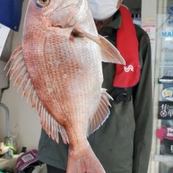 遊漁船 ニライカナイ 釣果
