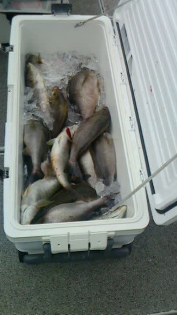 第二大福丸 釣果