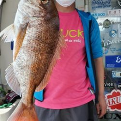 遊漁船 ニライカナイ 釣果