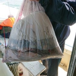 たかみ丸 釣果