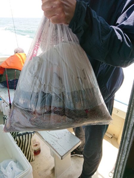 たかみ丸 釣果