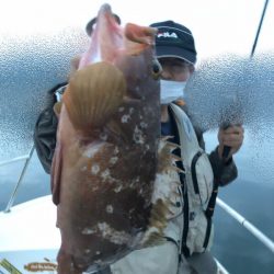 Magic（マジック） 釣果