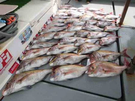 遊漁船 セトマリン 釣果