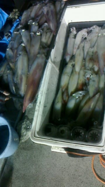 第二大福丸 釣果