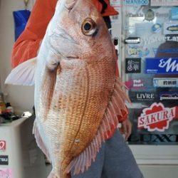 遊漁船 ニライカナイ 釣果