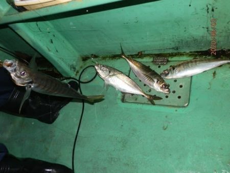 第二むつ漁丸 釣果