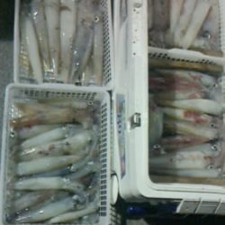 第二大福丸 釣果