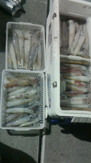 第二大福丸 釣果