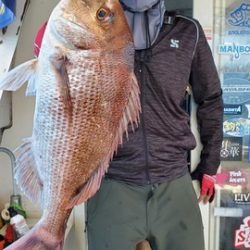 遊漁船 ニライカナイ 釣果