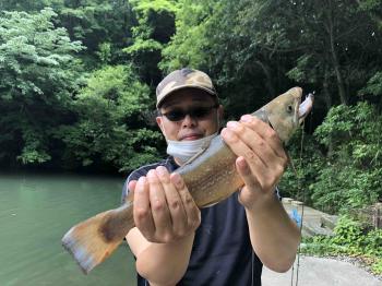 フィッシング サンクチュアリ 釣果