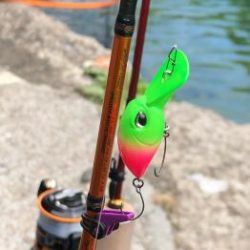 フィッシング サンクチュアリ 釣果