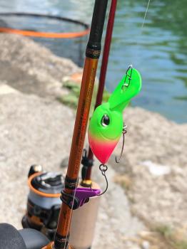 フィッシング サンクチュアリ 釣果