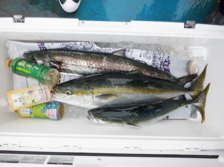 遊漁船 遊友 釣果