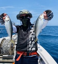 シーモンキー 釣果