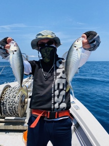 シーモンキー 釣果