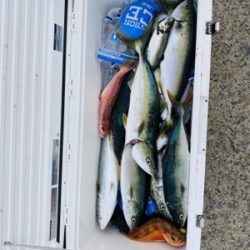 シーモンキー 釣果