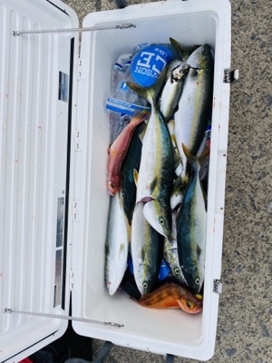 シーモンキー 釣果