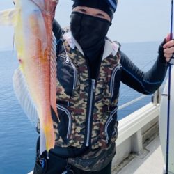 シーモンキー 釣果