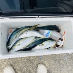 シーモンキー 釣果