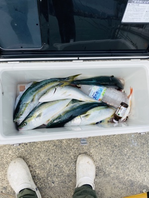 シーモンキー 釣果