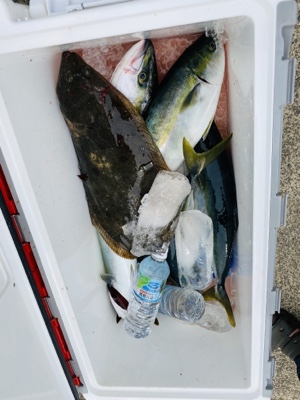 シーモンキー 釣果