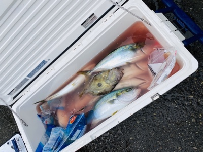 シーモンキー 釣果