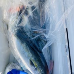 シーモンキー 釣果