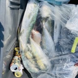 シーモンキー 釣果