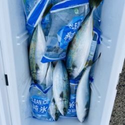 シーモンキー 釣果