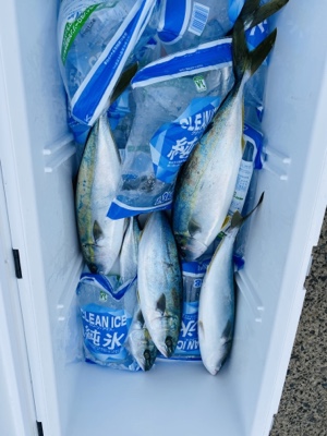 シーモンキー 釣果