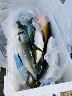 シーモンキー 釣果