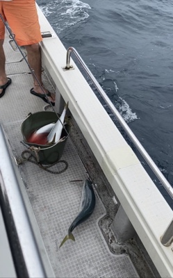 シーモンキー 釣果