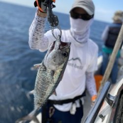 シーモンキー 釣果