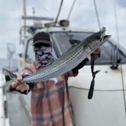 シーモンキー 釣果