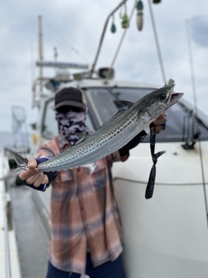 シーモンキー 釣果